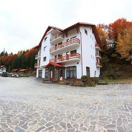 Hotel Paltinis Statiunea Buitenkant foto