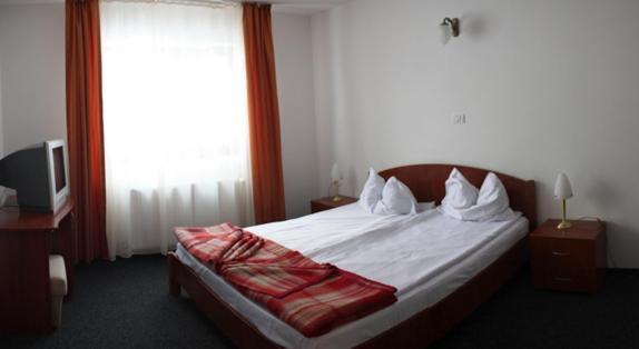 Hotel Paltinis Statiunea Buitenkant foto