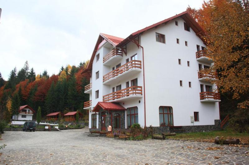 Hotel Paltinis Statiunea Buitenkant foto
