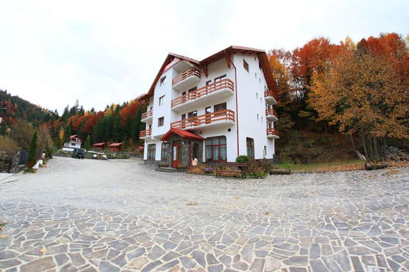 Hotel Paltinis Statiunea Buitenkant foto